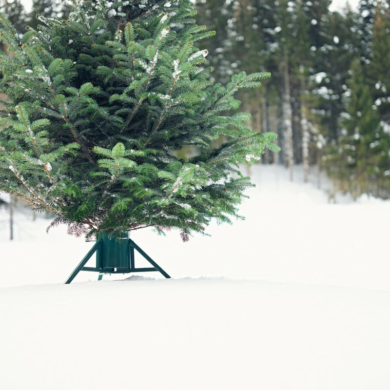 Flash Sale ๐งจ Tree Nest, #218622 Large Red Geometric ๐
Christmas Tree Stand ๐ 2 Flash Sale ๐งจ Tree Nest, #218622 Large Red Geometric ๐
Christmas Tree Stand ๐ - Image 2