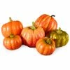 Budget 👏 Serene Spaces Living Assorted Harvest Pumpkins And Gourds, Available In 3 Option 🤩